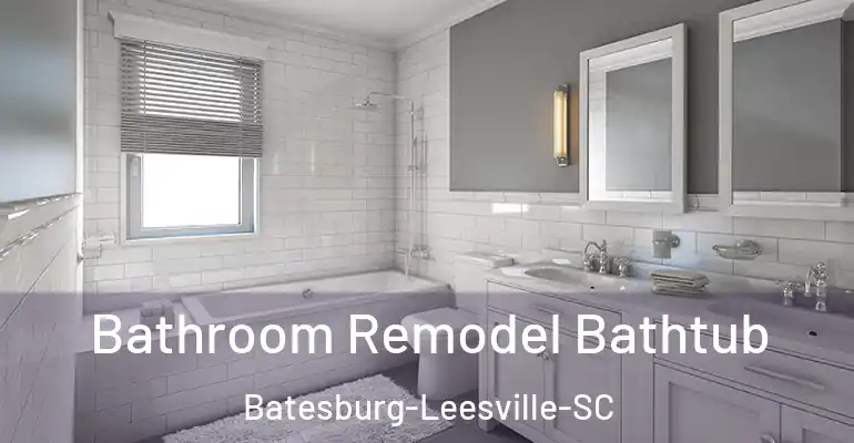 inner Bathroom imggen Bathroom Remodel Bathtub Batesburg-Leesville-SC