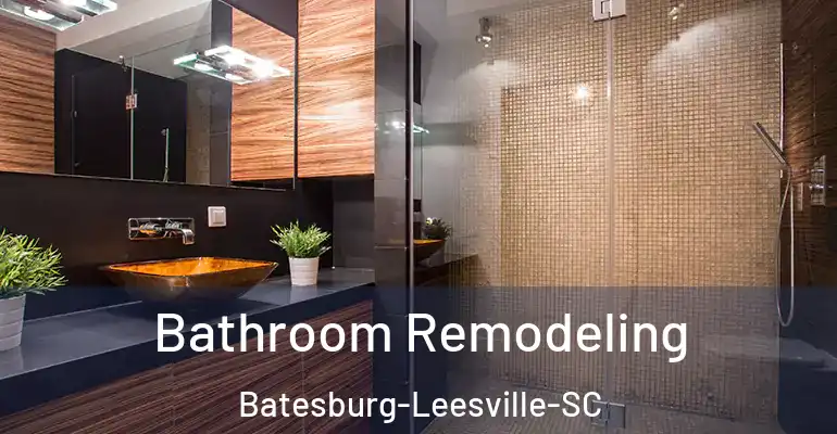 inner Bathroom imggen Bathroom Remodeling Batesburg-Leesville-SC