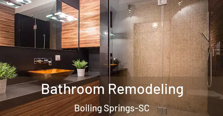inner Bathroom imggen Bathroom Remodeling Boiling Springs-SC