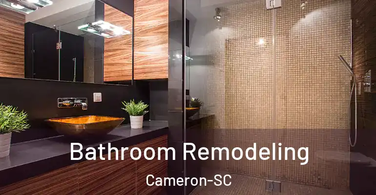 inner Bathroom imggen Bathroom Remodeling Cameron-SC