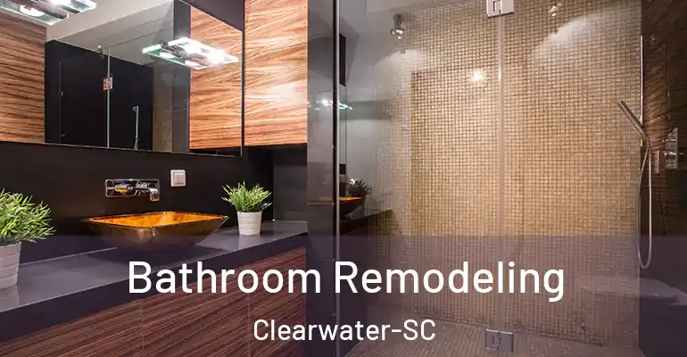 inner Bathroom imggen Bathroom Remodeling Clearwater-SC