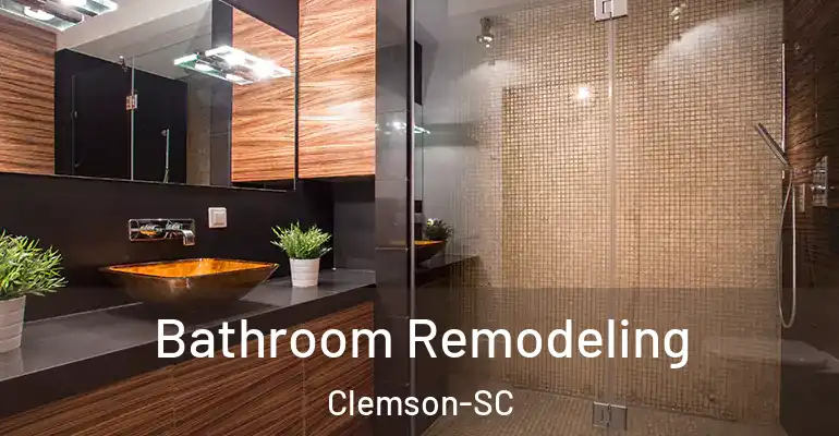 inner Bathroom imggen Bathroom Remodeling Clemson-SC
