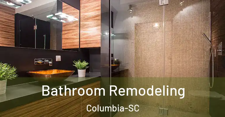 inner Bathroom imggen Bathroom Remodeling Columbia-SC
