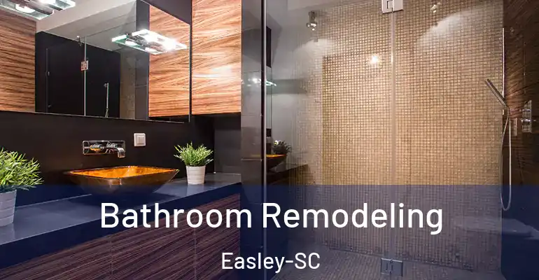 inner Bathroom imggen Bathroom Remodeling Easley-SC