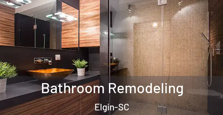 inner Bathroom imggen Bathroom Remodeling Elgin-SC