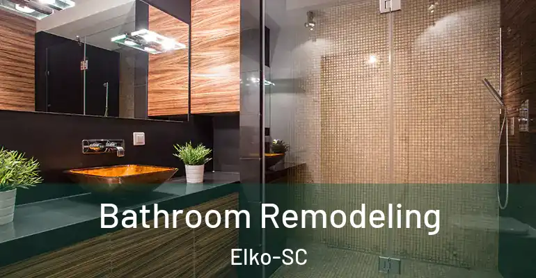 inner Bathroom imggen Bathroom Remodeling Elko-SC