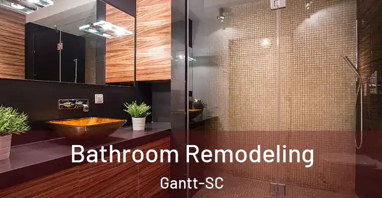 inner Bathroom imggen Bathroom Remodeling Gantt-SC