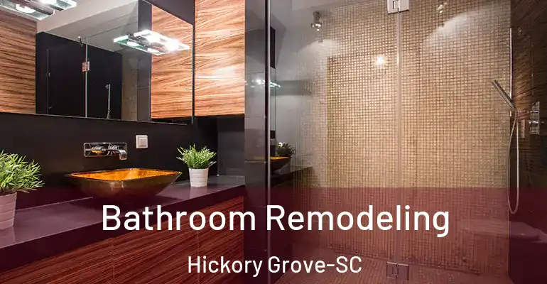 inner Bathroom imggen Bathroom Remodeling Hickory Grove-SC