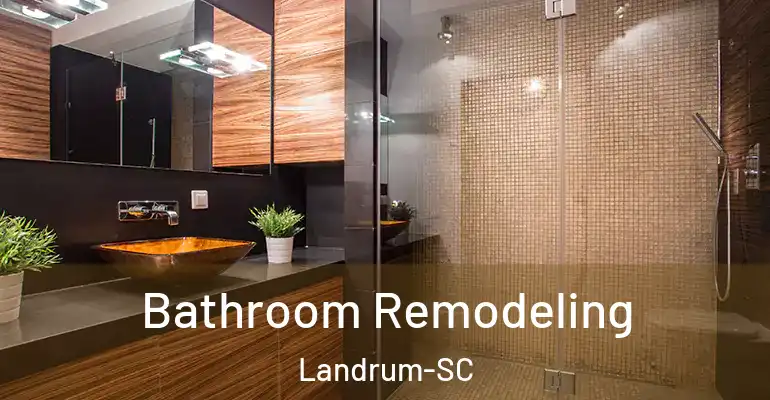 inner Bathroom imggen Bathroom Remodeling Landrum-SC