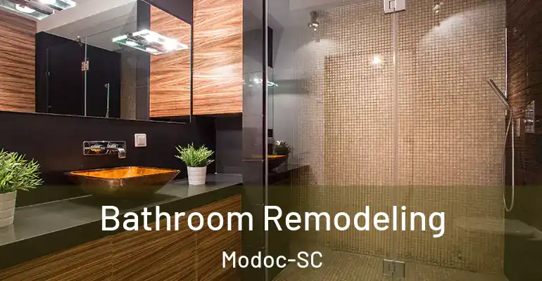 inner Bathroom imggen Bathroom Remodeling Modoc-SC