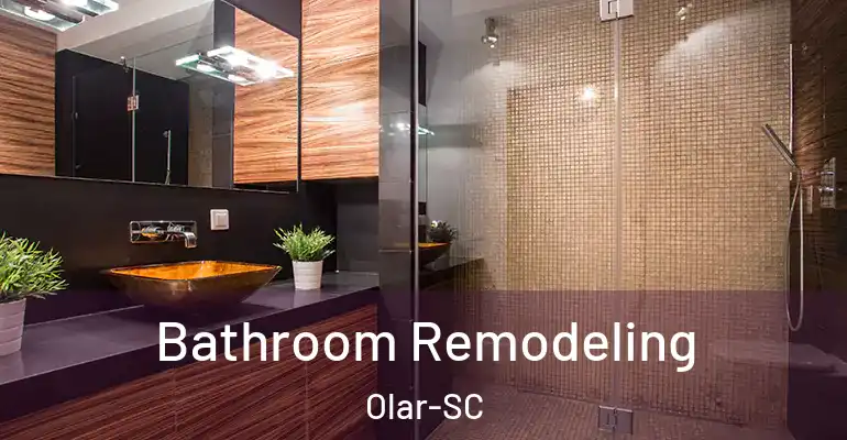 inner Bathroom imggen Bathroom Remodeling Olar-SC
