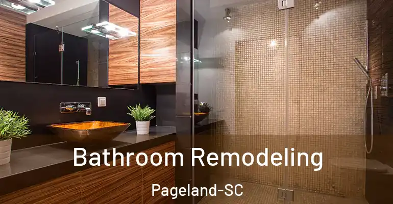 inner Bathroom imggen Bathroom Remodeling Pageland-SC