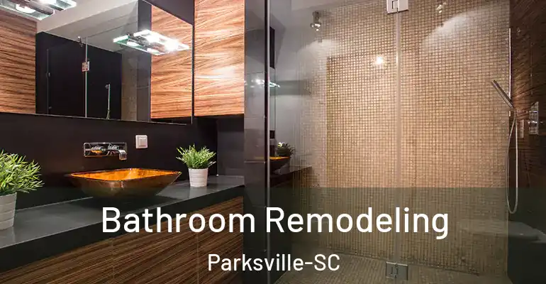 inner Bathroom imggen Bathroom Remodeling Parksville-SC