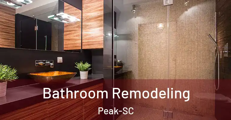 inner Bathroom imggen Bathroom Remodeling Peak-SC