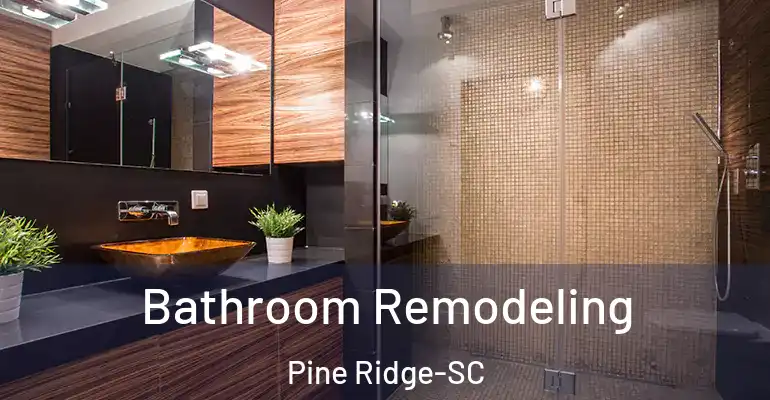 inner Bathroom imggen Bathroom Remodeling Pine Ridge-SC