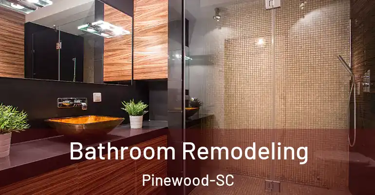 inner Bathroom imggen Bathroom Remodeling Pinewood-SC