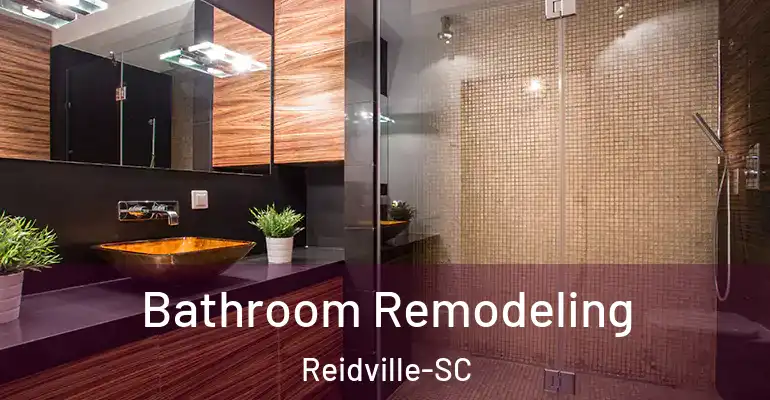 inner Bathroom imggen Bathroom Remodeling Reidville-SC