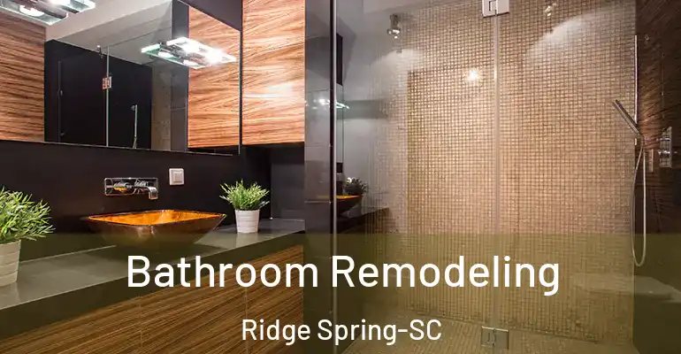 inner Bathroom imggen Bathroom Remodeling Ridge Spring-SC