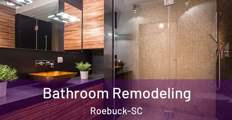 inner Bathroom imggen Bathroom Remodeling Roebuck-SC