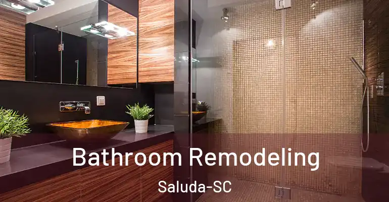 inner Bathroom imggen Bathroom Remodeling Saluda-SC