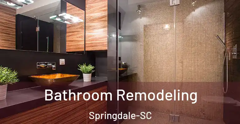 inner Bathroom imggen Bathroom Remodeling Springdale-SC