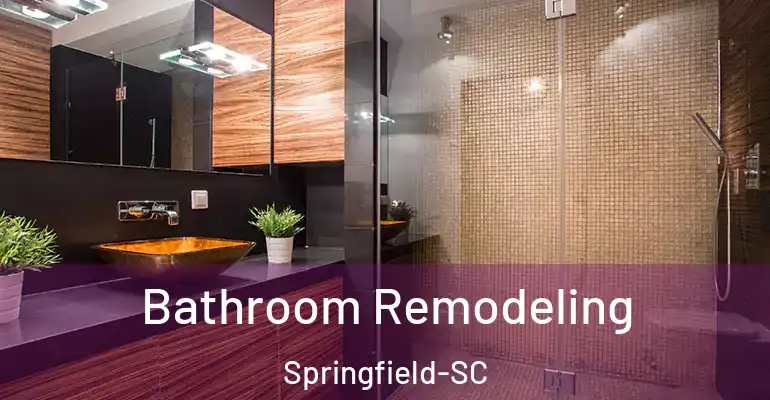 inner Bathroom imggen Bathroom Remodeling Springfield-SC
