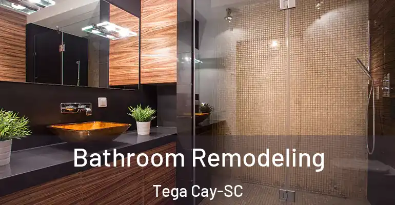 inner Bathroom imggen Bathroom Remodeling Tega Cay-SC