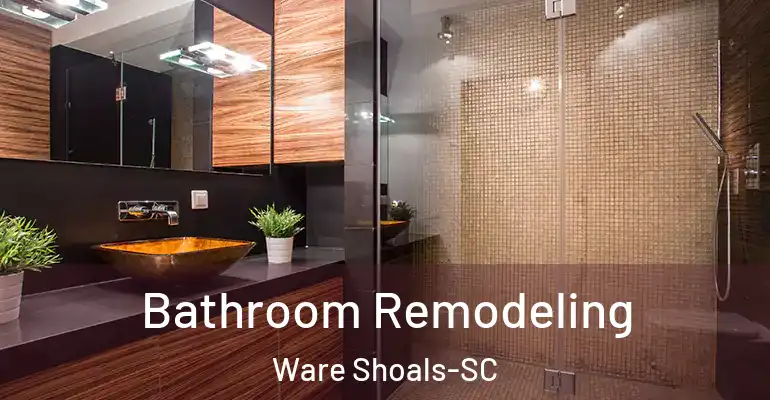 inner Bathroom imggen Bathroom Remodeling Ware Shoals-SC