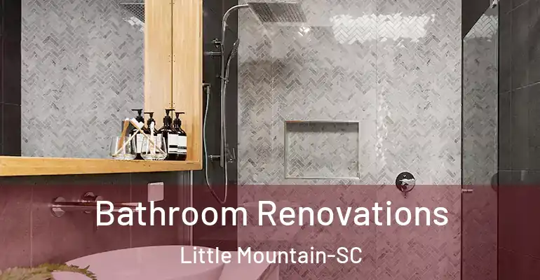 inner Bathroom imggen Bathroom Renovations Little Mountain-SC