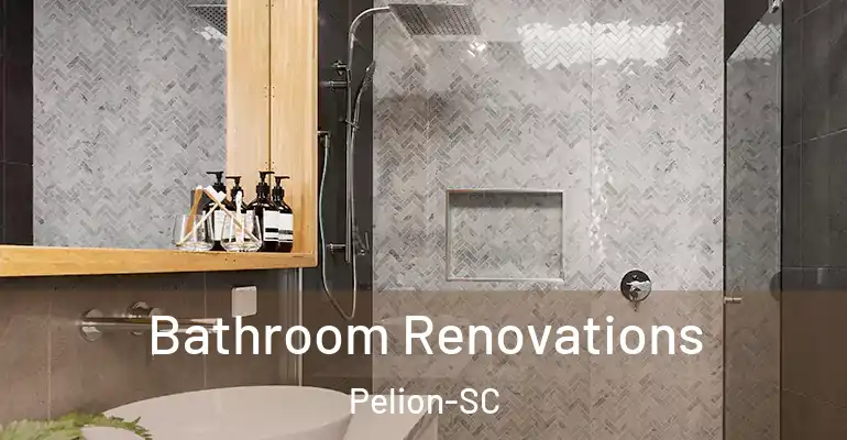 inner Bathroom imggen Bathroom Renovations Pelion-SC