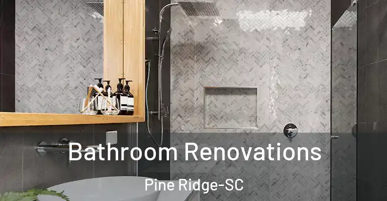 inner Bathroom imggen Bathroom Renovations Pine Ridge-SC