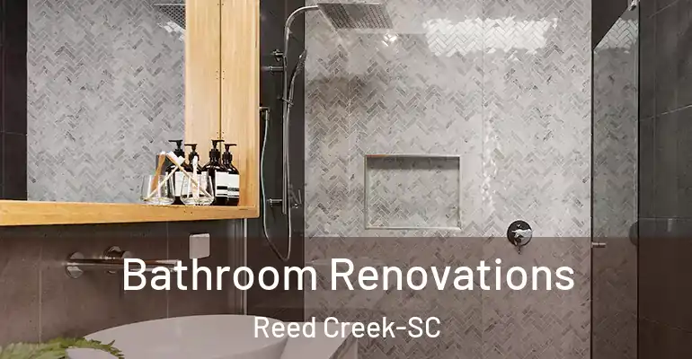 inner Bathroom imggen Bathroom Renovations Reed Creek-SC
