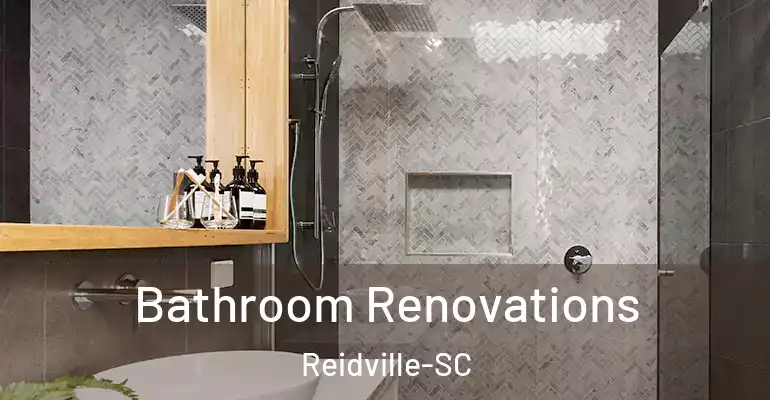 inner Bathroom imggen Bathroom Renovations Reidville-SC