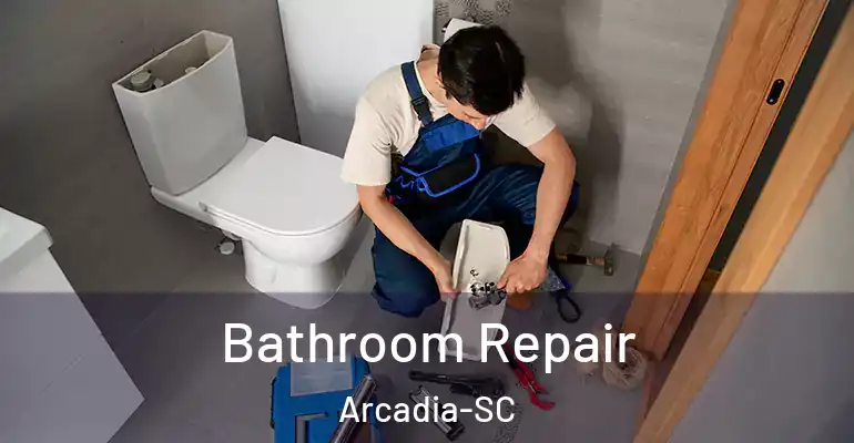 inner Bathroom imggen Bathroom Repair Arcadia-SC