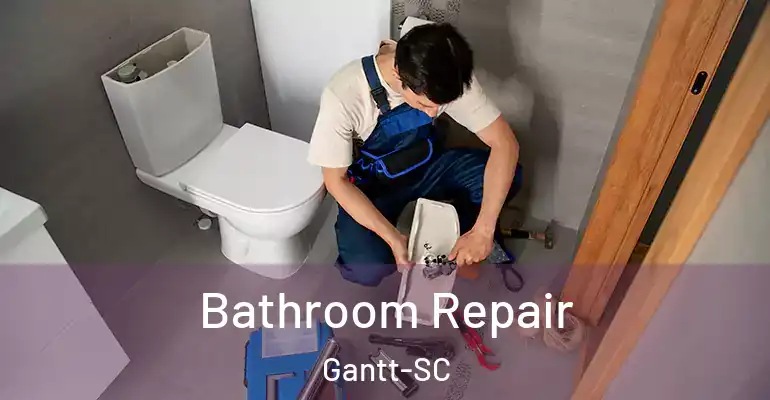 inner Bathroom imggen Bathroom Repair Gantt-SC