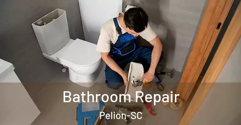 inner Bathroom imggen Bathroom Repair Pelion-SC