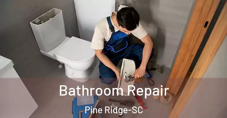 inner Bathroom imggen Bathroom Repair Pine Ridge-SC