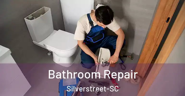 inner Bathroom imggen Bathroom Repair Silverstreet-SC