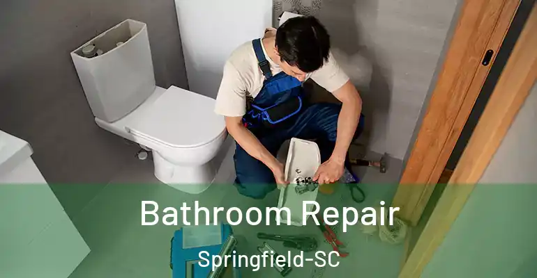 inner Bathroom imggen Bathroom Repair Springfield-SC