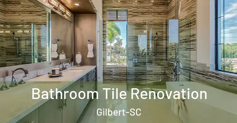 inner Bathroom imggen Bathroom Tile Renovation Gilbert-SC