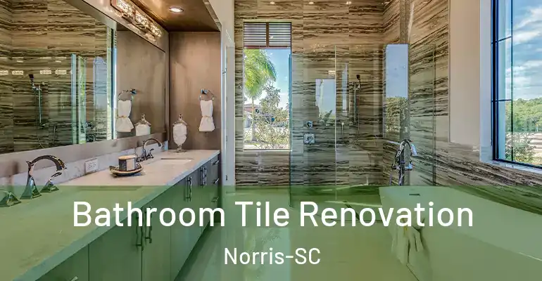 inner Bathroom imggen Bathroom Tile Renovation Norris-SC
