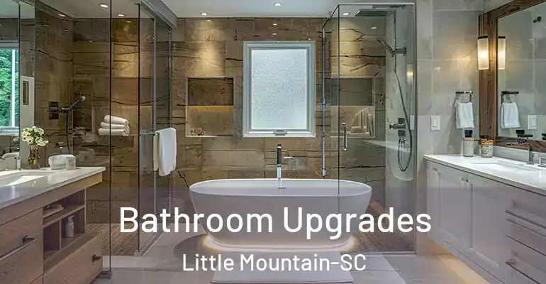inner Bathroom imggen Bathroom Upgrades Little Mountain-SC