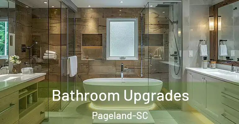inner Bathroom imggen Bathroom Upgrades Pageland-SC