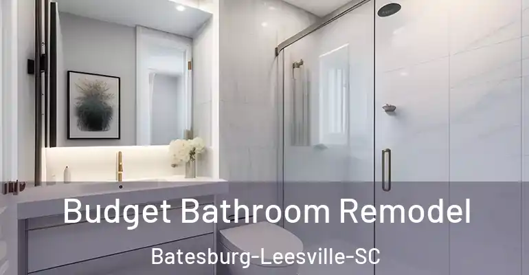 inner Bathroom imggen Budget Bathroom Remodel Batesburg-Leesville-SC