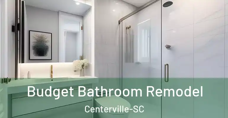 inner Bathroom imggen Budget Bathroom Remodel Centerville-SC