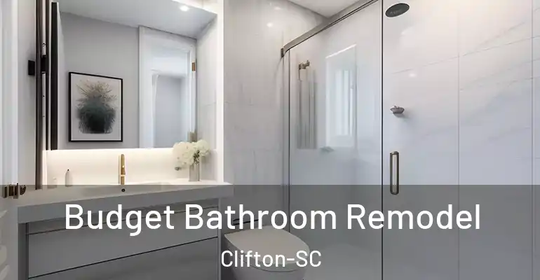 inner Bathroom imggen Budget Bathroom Remodel Clifton-SC