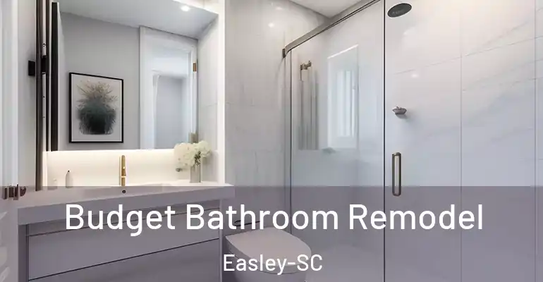 inner Bathroom imggen Budget Bathroom Remodel Easley-SC