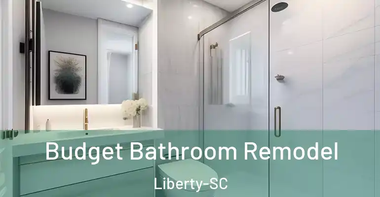 inner Bathroom imggen Budget Bathroom Remodel Liberty-SC