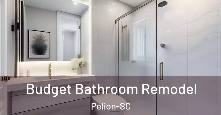 inner Bathroom imggen Budget Bathroom Remodel Pelion-SC