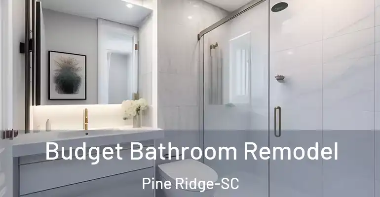 inner Bathroom imggen Budget Bathroom Remodel Pine Ridge-SC